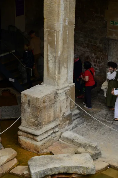 DSC_2627 (Large).JPG